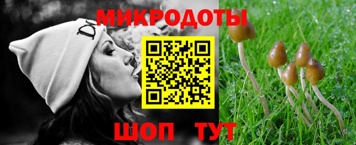 Псилоцибиновые грибы GOLDEN TEACHER Шали
