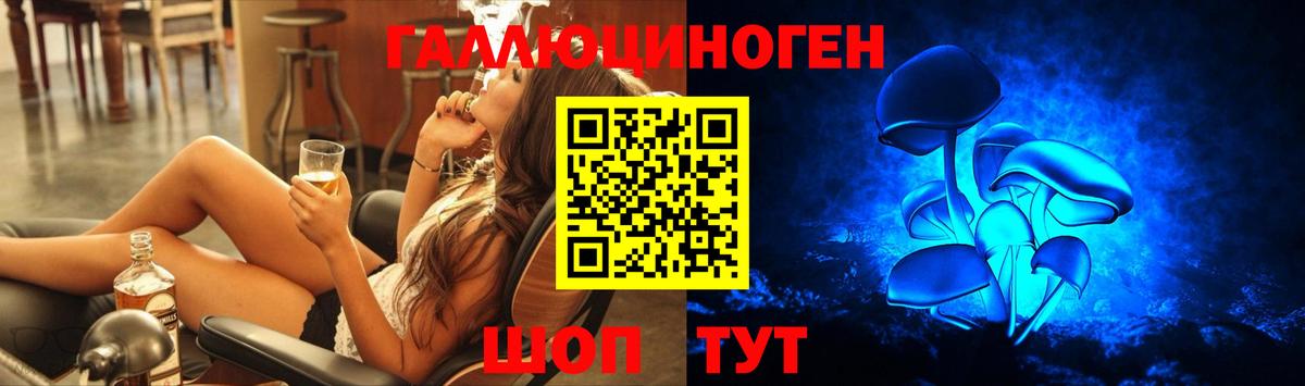 Галлюциногенные грибы Psilocybe  Псилоцибиновые грибы GOLDEN TEACHER  Шали  Вход с VPN 